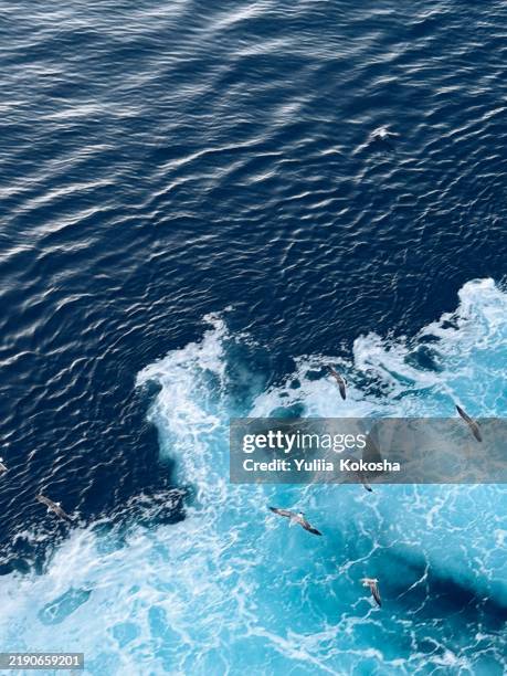 Pac Vortex 73 Pacific Vortex Stock Photos, High-Res Pictures, and Images - Getty ...