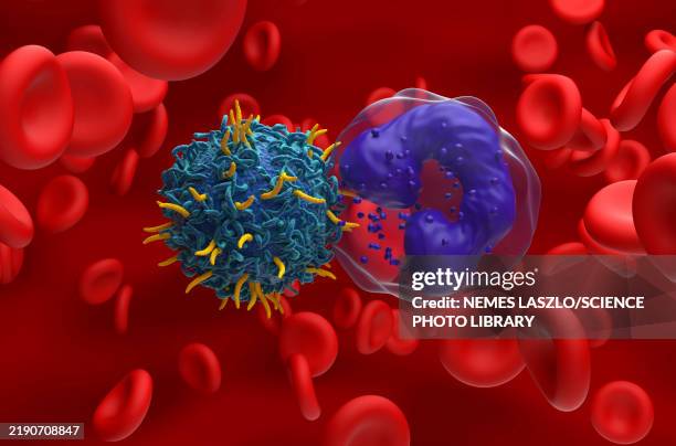 car-t cell therapy for chronic myeloid leukaemia, illustration - turner syndrome stock illustrations