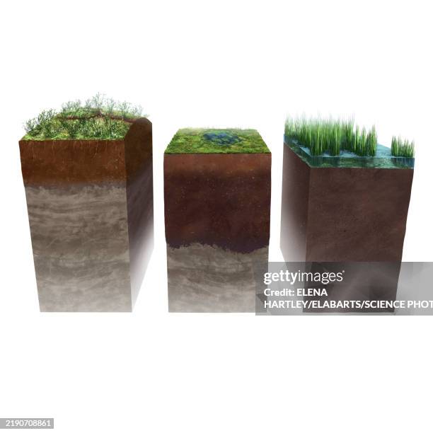 Soil Graphical Abstract Soil Profiles Illustration High-Res Vector Graphic - Getty Images