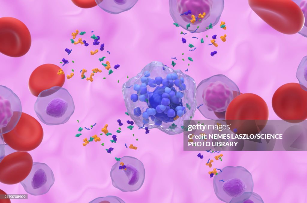 Activated mast cell, illustration