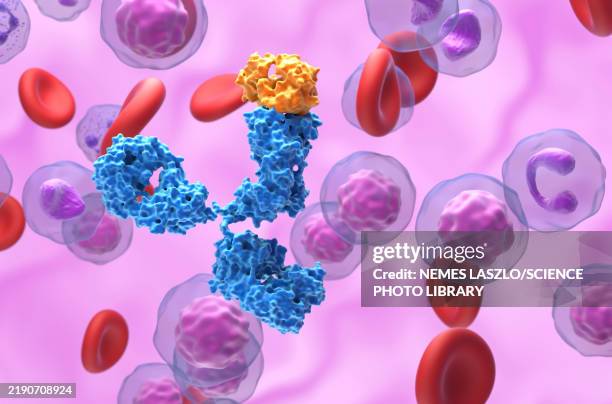 monoclonal antibody therapy, illustration - antikörper stock-fotos und bilder