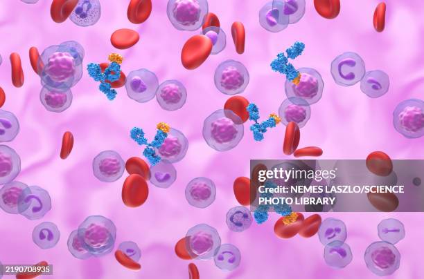 monoclonal antibody therapy, illustration - bloodstream stock pictures, royalty-free photos & images
