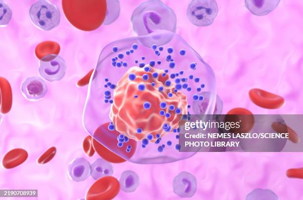 ilustrações de stock, clip art, desenhos animados e ícones de triple negative breast cancer cell, illustration - animal em via de extinção