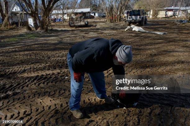 Tracey Swann pets local cat, Tom, who survived the storm and follows Swann around while he works on December 23, 2024 in Old Fort, North Carolina....
