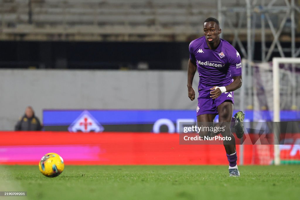 Fiorentina v Udinese - Serie A