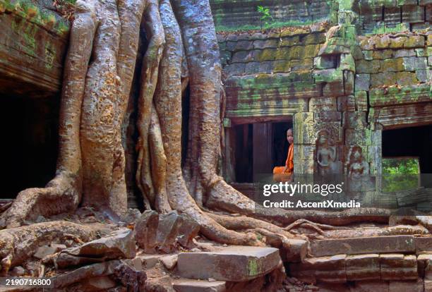 angkor wat , junge buddhistische mönche sitzen in ruinen. - siemreap tempelkomplex stock-fotos und bilder