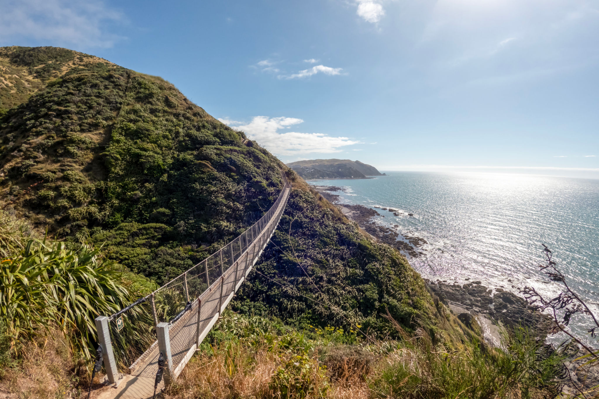 kapiti coast landscape