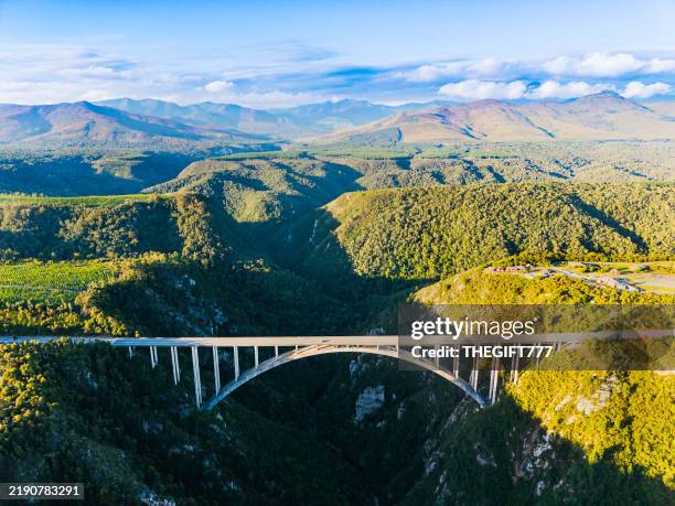 bloukrans bridge bungy jumping - áfrica meridional - fotografias e filmes do acervo