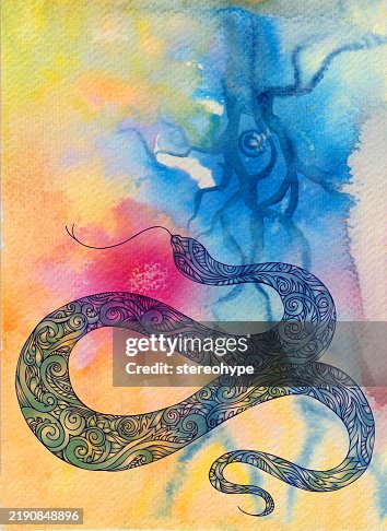 Snake psyche Snake psyche
