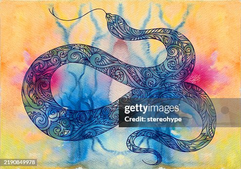 Snake psyche Snake psyche