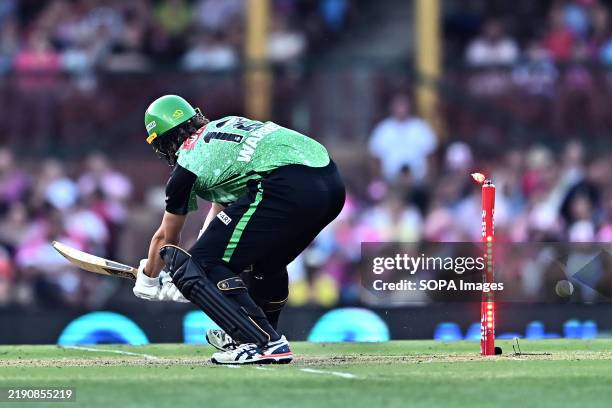 Doug Warren of Melbourne Stars is bowled out by Hayden Kerr of Sydney Sixers during the Big Bash League match between Sydney Sixers and Melbourne...