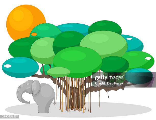 sleeping elephant under banyan tree - thimmamma marrimanu stock pictures, royalty-free photos & images