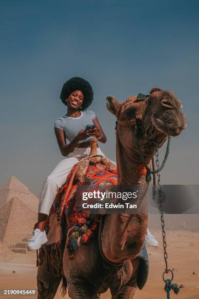 happy zambian female influencer riding camel posing looking at camera in front of pyramid, egypt - giza pyramids stock pictures, royalty-free photos & images