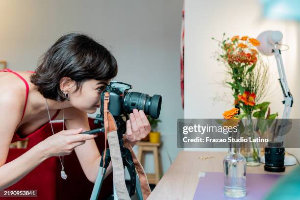 fotógrafo tomando fotos de una planta en maceta en casa - autoempleo fotografías e imágenes de stock
