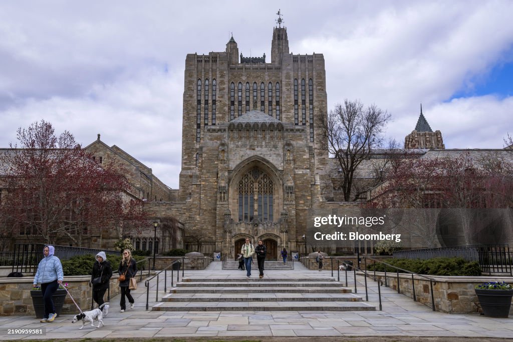 If You Didn't Get Into an Elite Private Institution, a Public School Is the Better Investment