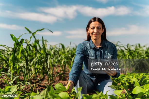 retrato de una mujer agrónoma adulta media usando una tableta digital en el campo agrícola - cultivo fotografías e imágenes de stock