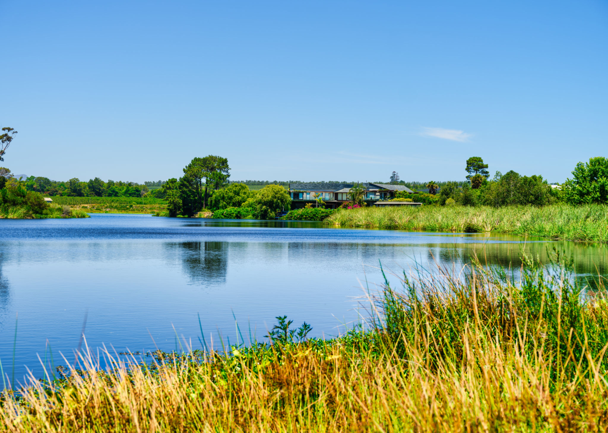 lake country property