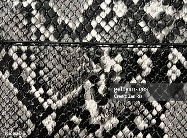 front side of a handbag in black and white snakeskin pattern - snakeskin stock pictures, royalty-free photos & images