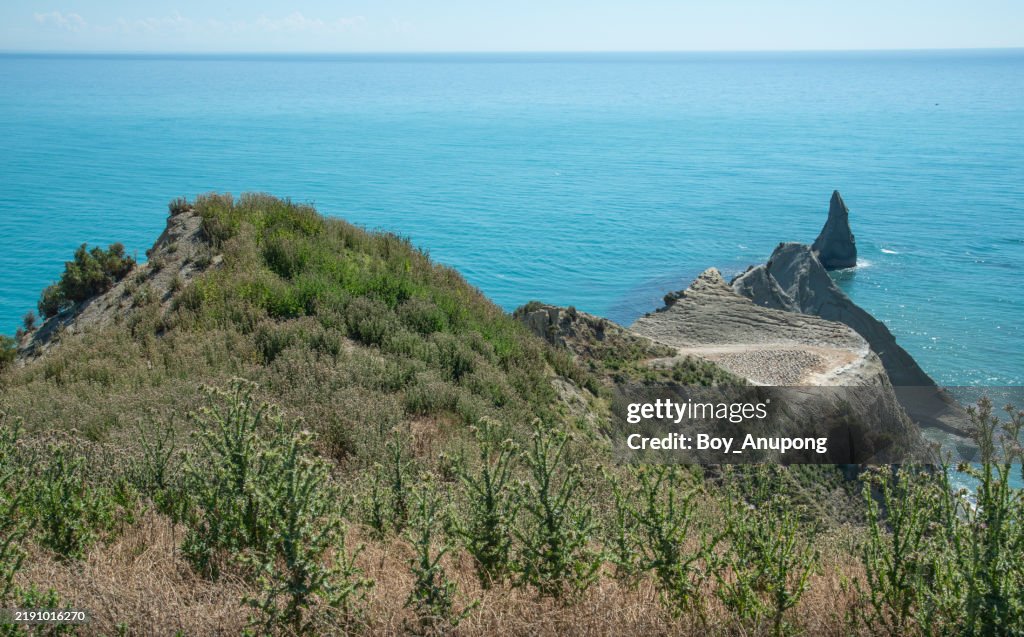 An iconic landscape of Cape Kidnappers in Hawke's Bay region of New Zealand.