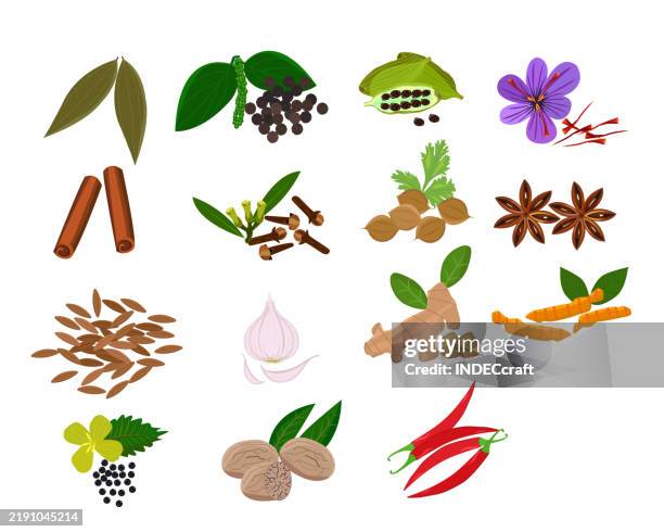 spices - ginger turmeric stock illustrations