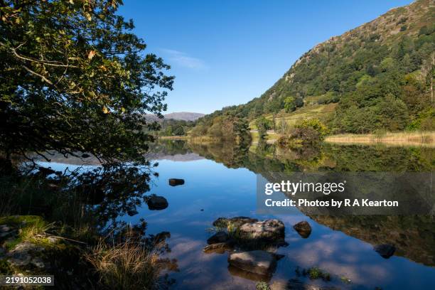 rydal water, lake district, cumbria, england - english lake district stock pictures, royalty-free photos & images