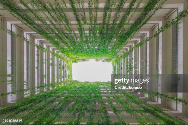 vertical forest inside building - bosco verticale stock pictures, royalty-free photos & images