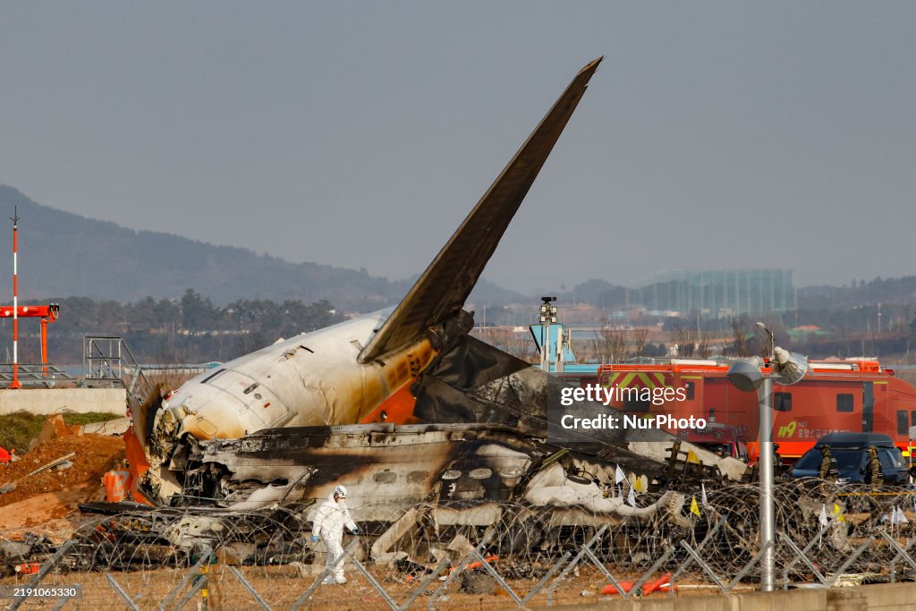 The Muan Airport Plane Crash Is Suspected To Have Been Caused By A Bird Strike