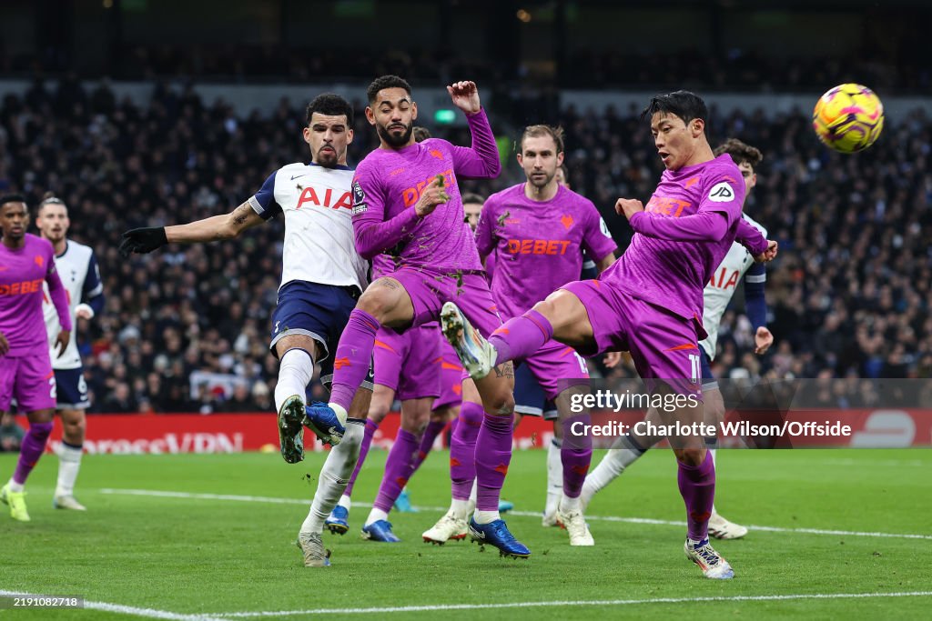 Tottenham Hotspur FC v Wolverhampton Wanderers FC - Premier League