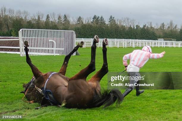 Ben Jones riding Roysse fall at the last when well clear in The at Newbury Racecourse on December 18, 2024 in Newbury, England.