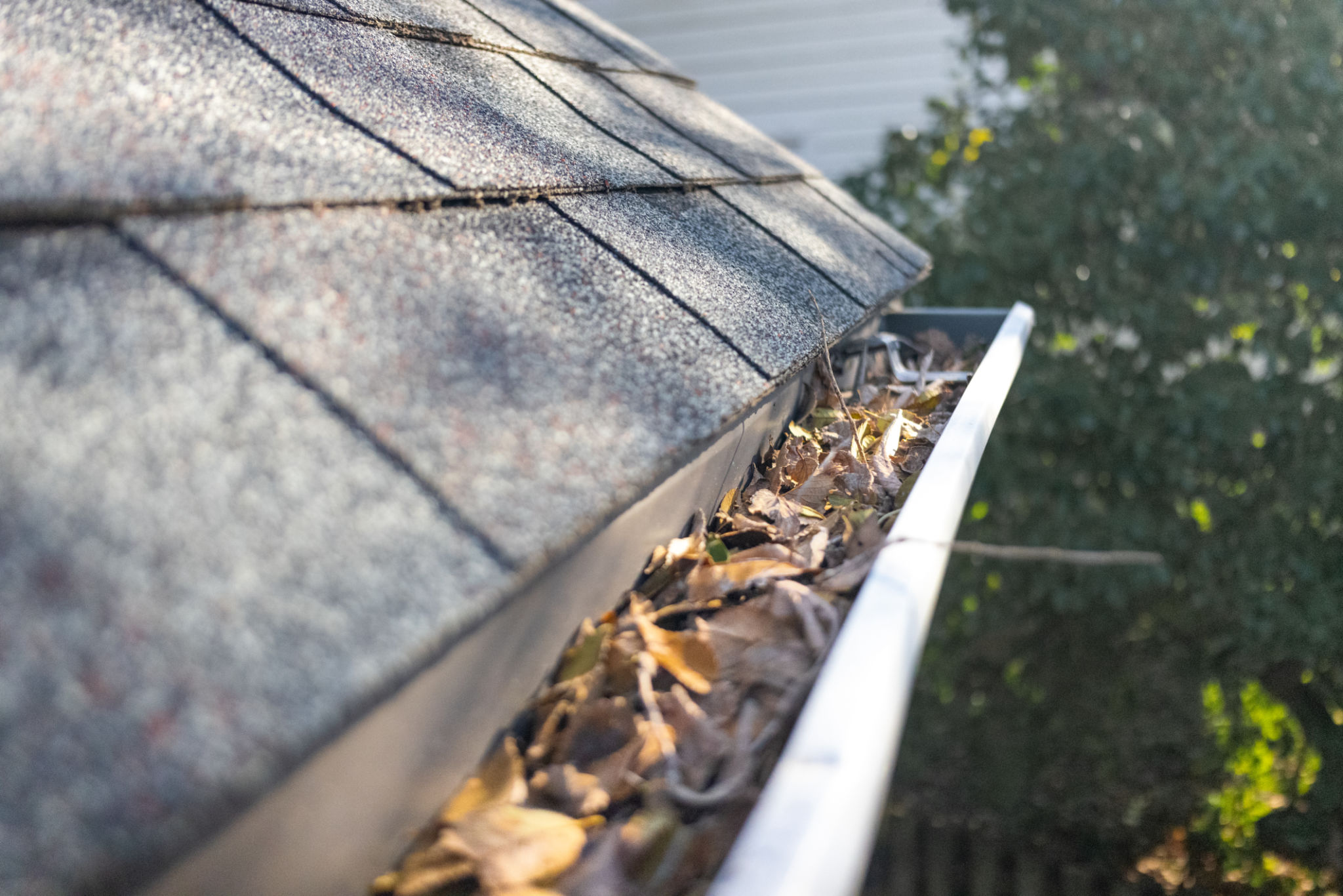clean gutters