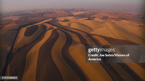 Aerial view of farm fields of wheat showing patterns, Palouse, Washington.