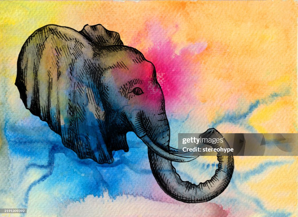 Imagination elephant