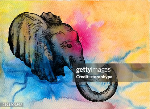 Imagination elephant Imagination elephant