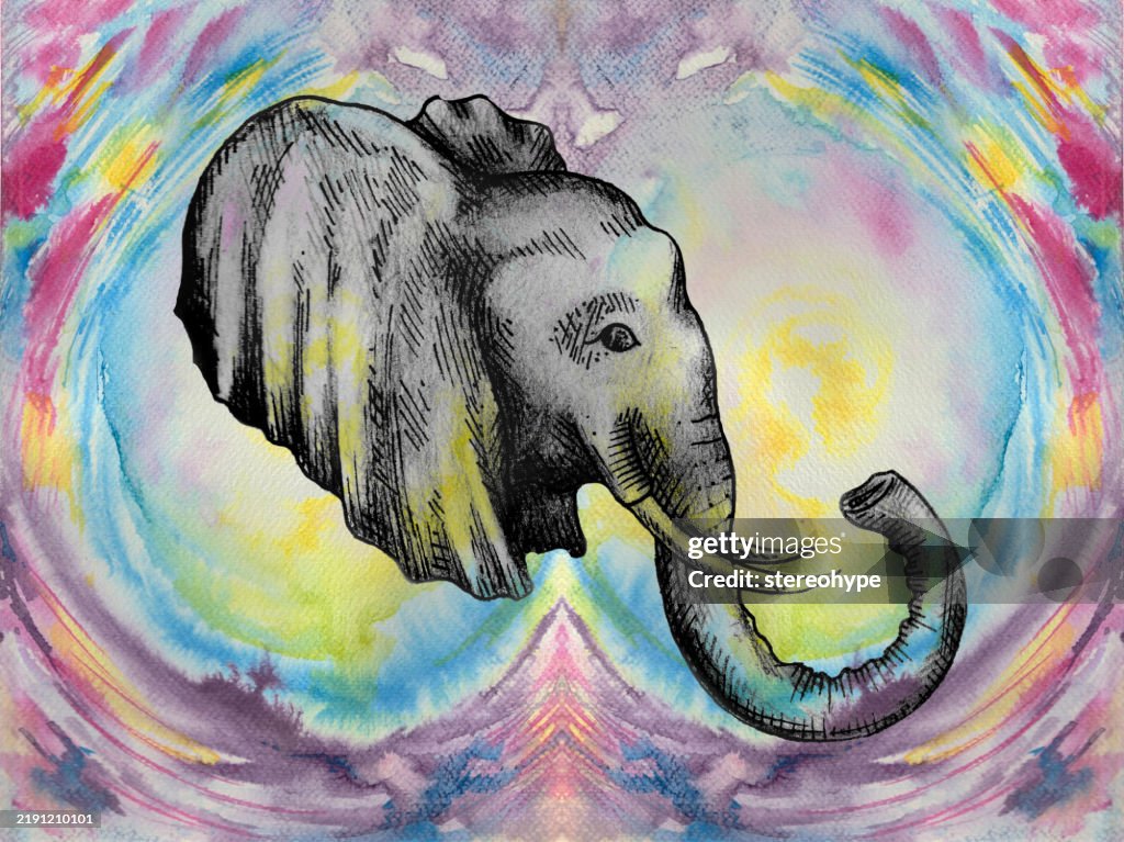 Elephant infinity