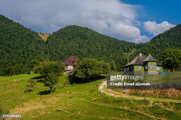 Funbata Image 103 Fundata Stock Photos, High-Res Pictures, and Images - Getty Images