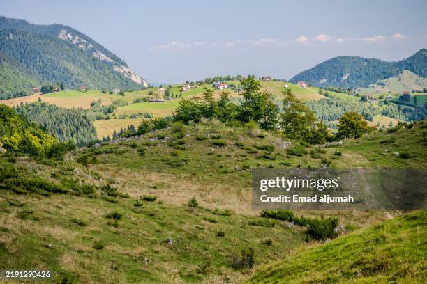 Funbata Image 90 Fundata Stock Photos, High-Res Pictures, and Images - Getty Images