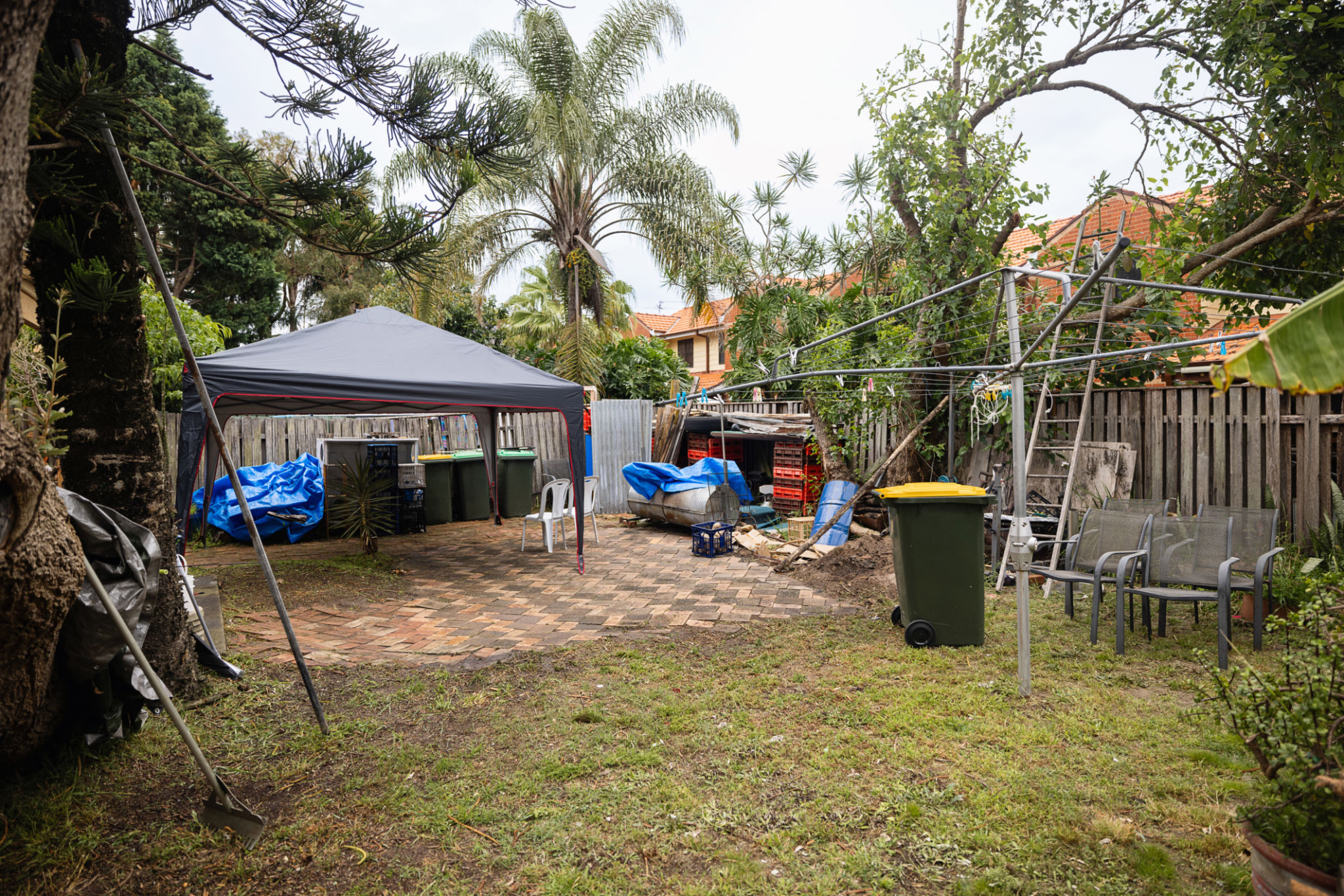 windbreak garden