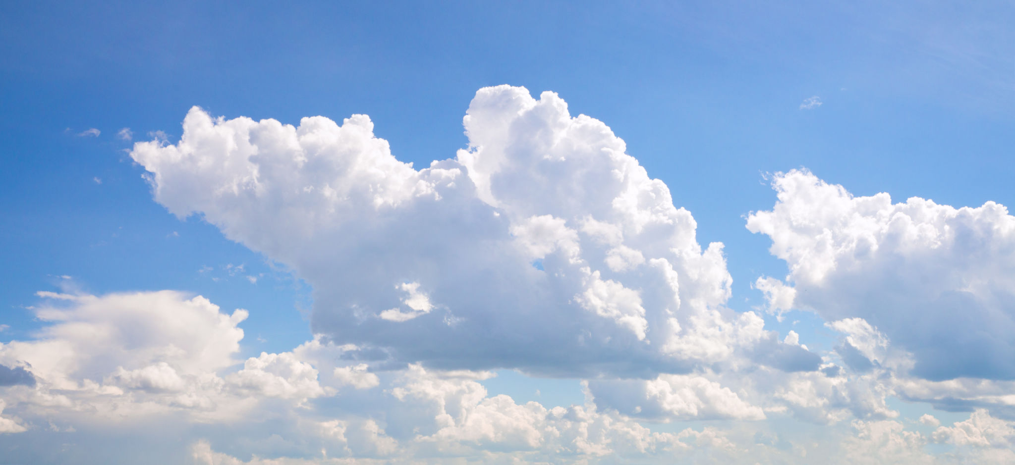 sunshine coast event