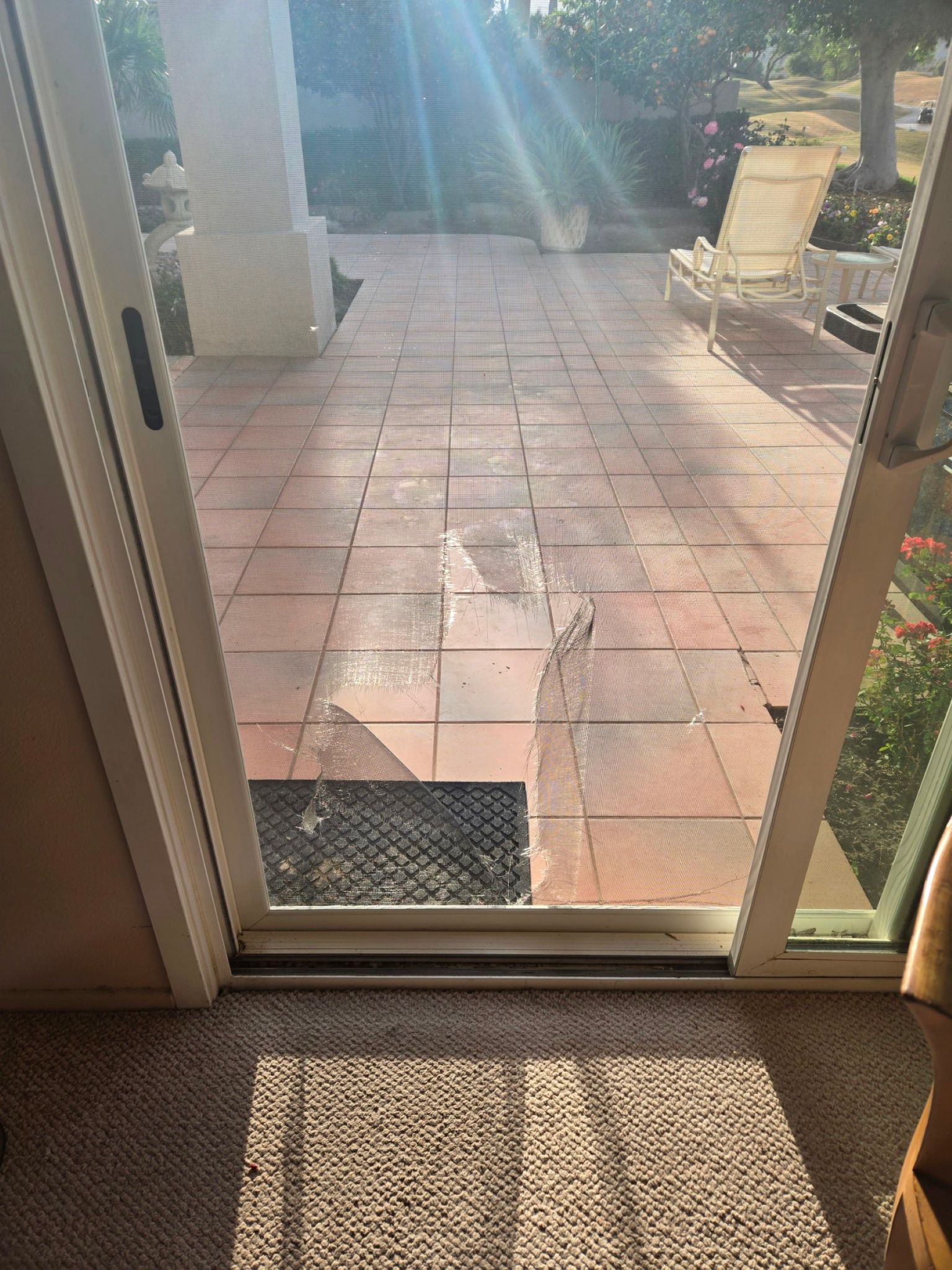 Screen Door Screen Door