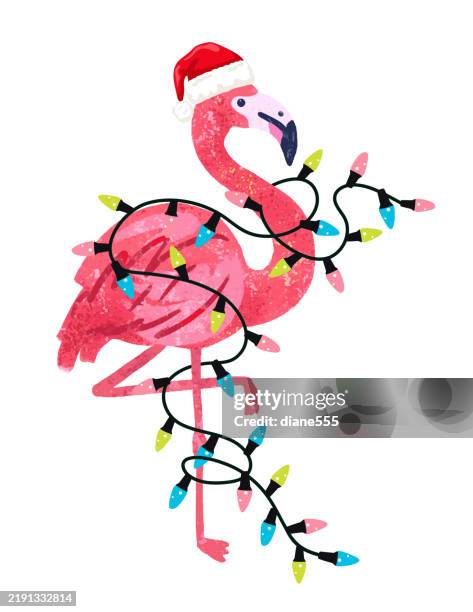 funny flamingo wearing christmas lights & a santa hat isolated on a transparent background - fairy-lights-transparent-background stock illustrations