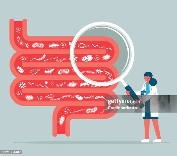 ilustraciones, imágenes clip art, dibujos animados e iconos de stock de lupa - sistema digestivo - doctora - colon
