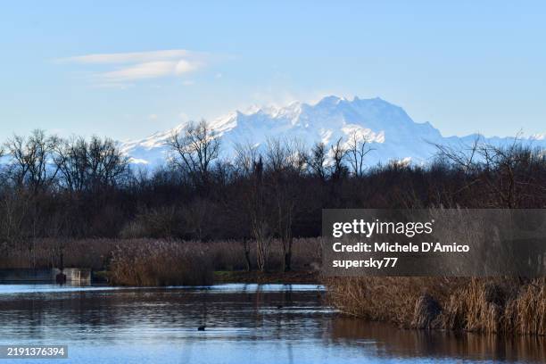 monte rosa above a swamp in winter - milan snow stock pictures, royalty-free photos & images