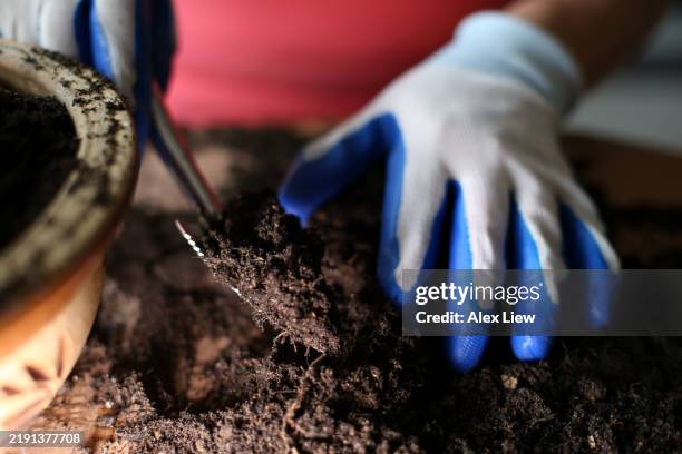 retirement lifestyle - gardening glove stock pictures, royalty-free photos & images