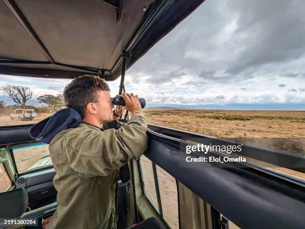 viajero de safari escaneando la vida silvestre a través de binoculares desde el vehículo, rastreando animales a través de las praderas del área de conservación de ngorongoro en tanzania - protección-de-fauna-salvaje fotografías e imágenes de stock