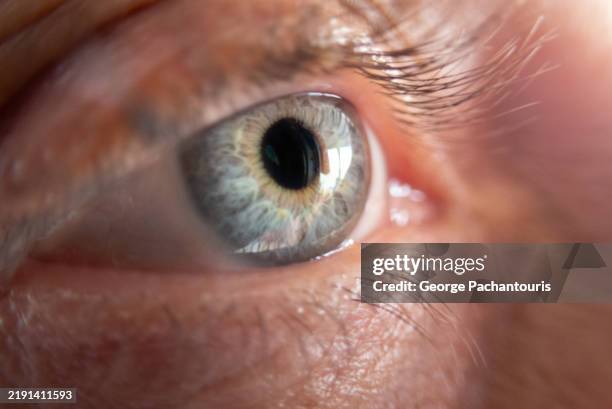 human eye close-up - raised eyebrows stock pictures, royalty-free photos & images