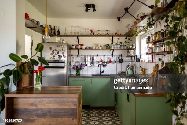 interior verde acolhedor da cozinha com o shelving aberto que indica plantas e kitchenware - utensílio de cozinha equipamento doméstico - fotografias e filmes do acervo