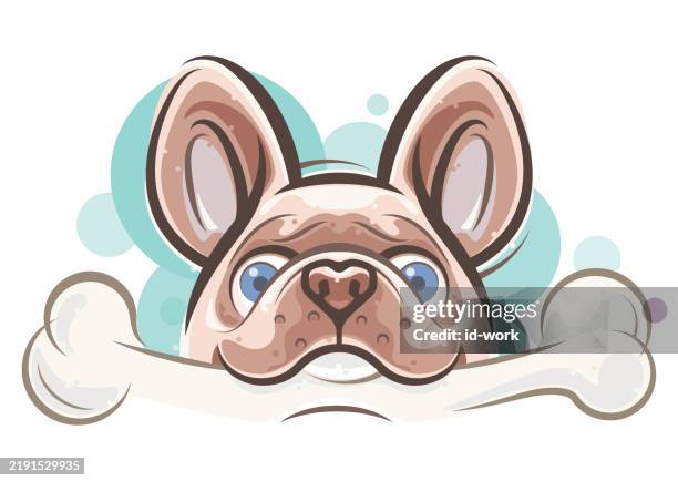 illustrazioni stock, clip art, cartoni animati e icone di tendenza di divertente cane che tiene l'osso - cibo per cani