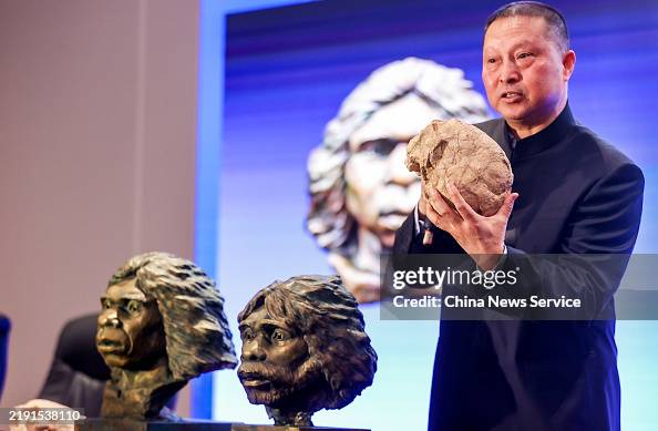 The restored statues of a pair of fossil human skulls of the