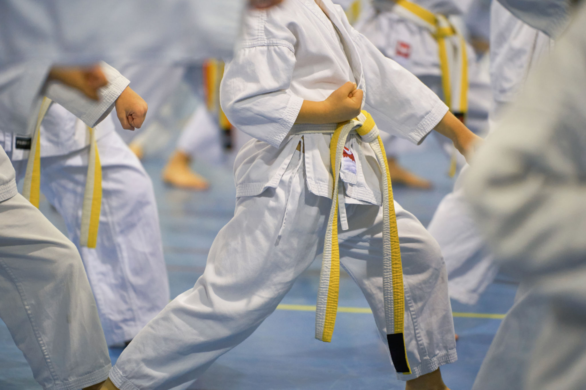 jiu jitsu community