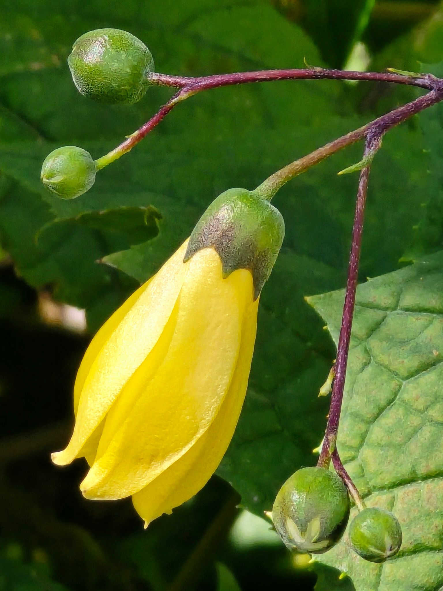 photography composition color